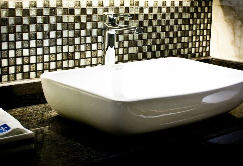 Fotos del hotel Lyz Business:  14