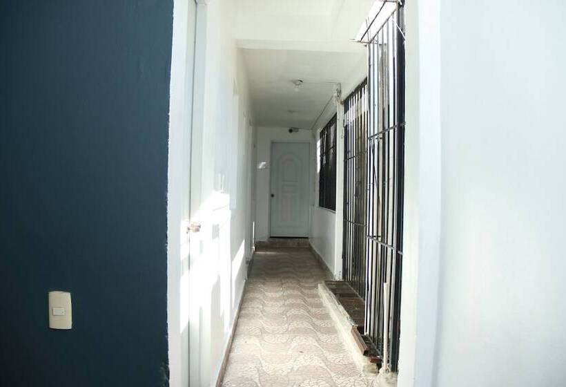 Fotos del hotel Aarony House:  13