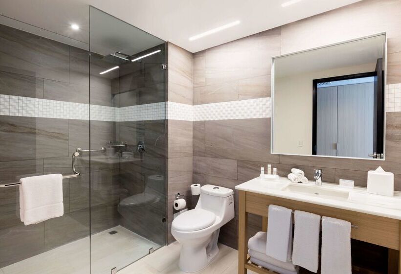 Fotos del hotel Hilton Garden Inn Merida:  8