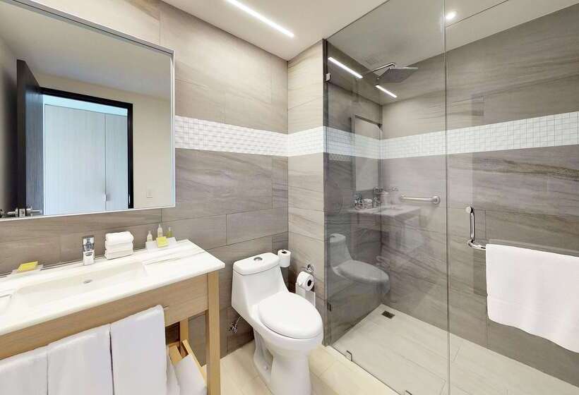 Fotos del hotel Hilton Garden Inn Merida:  14