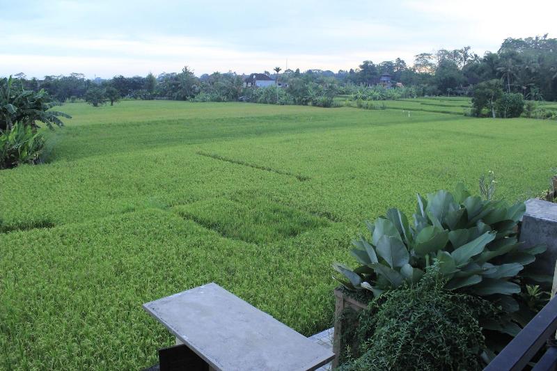 Fotos del hotel Uma Padi Villa:  8