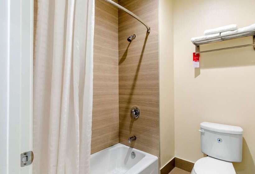 Fotos del hotel Econo Lodge Inn & Suites Houston Willowbrook:  12