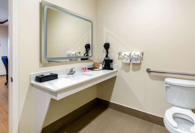 Fotos del hotel Econo Lodge Inn & Suites Houston Willowbrook:  6
