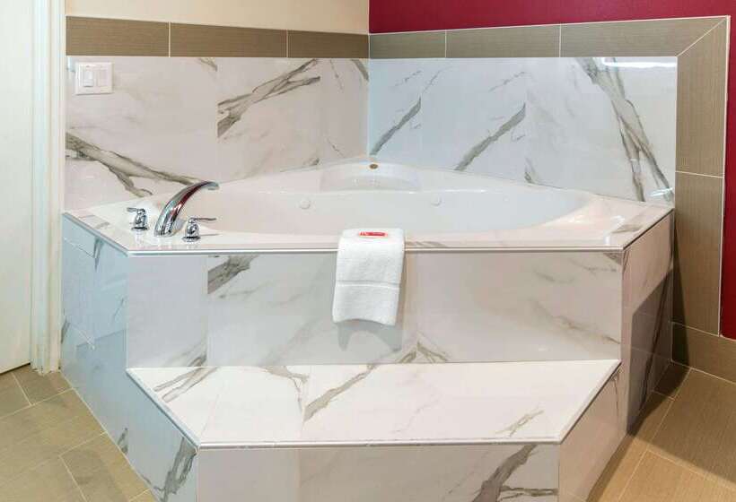 Fotos del hotel Econo Lodge Inn & Suites Houston Willowbrook:  15