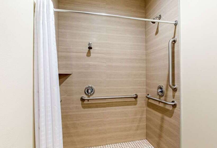 Fotos del hotel Econo Lodge Inn & Suites Houston Willowbrook:  9