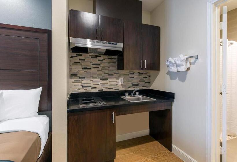 Fotos del hotel Econo Lodge Inn & Suites Houston Willowbrook:  23