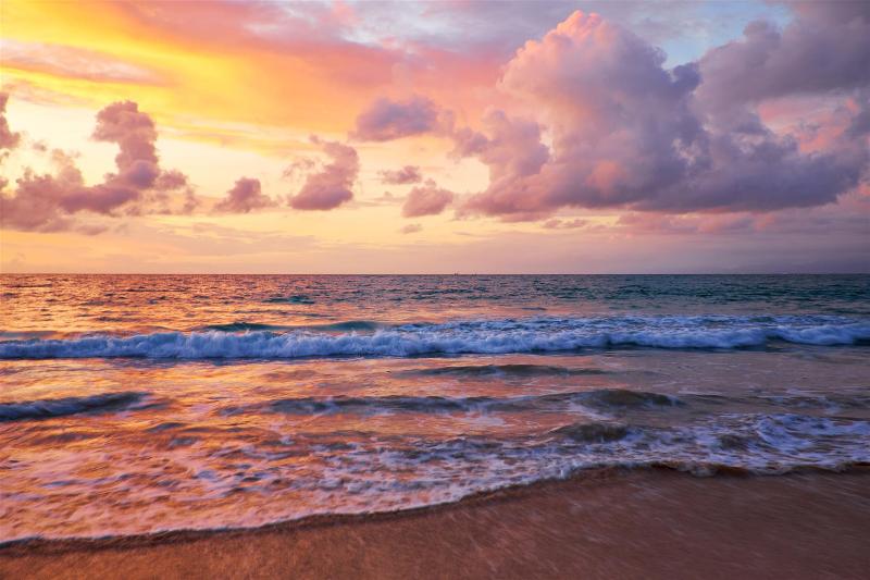 Fotos del hotel Royal Bay  Makassar:  6