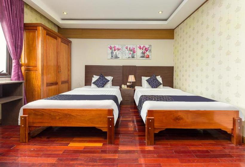 Fotos del hotel Dream Gold  I:  9