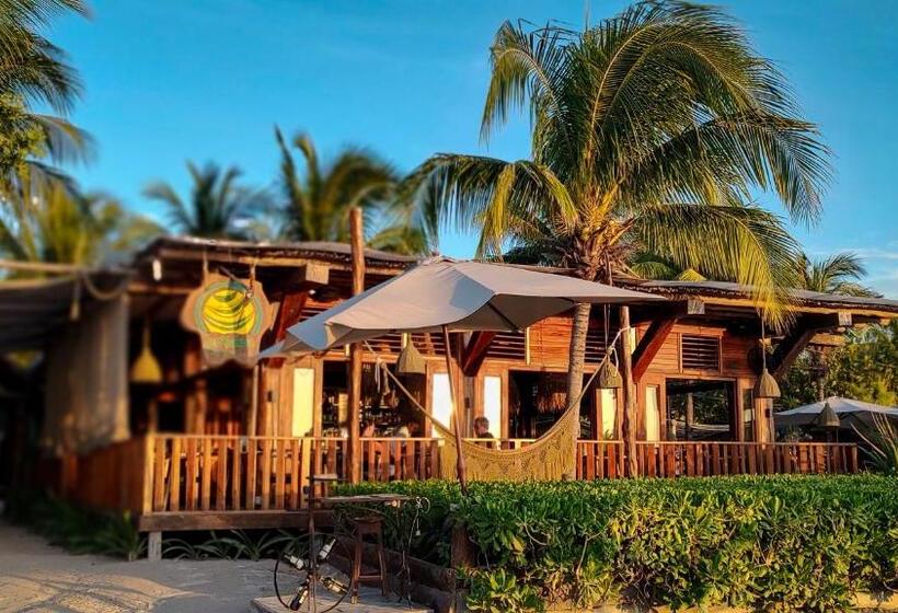 Fotos del hotel Siesta Holbox:  14