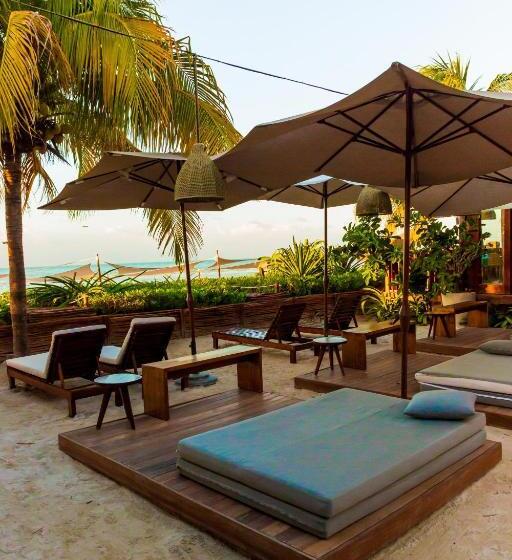 Fotos del hotel Siesta Holbox:  4