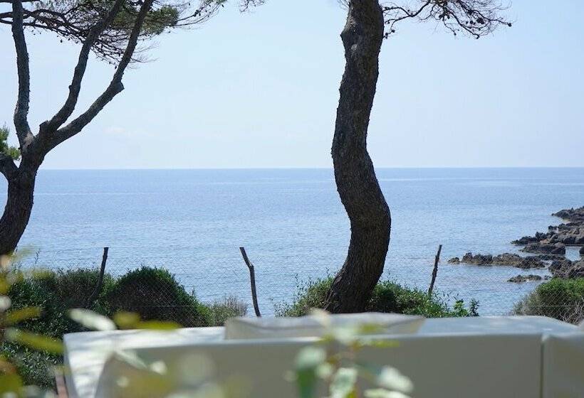 Fotos del hotel Pleta De Mar, Luxury  By Nature  Adults Only:  15