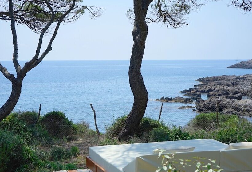 Fotos del hotel Pleta De Mar, Luxury  By Nature  Adults Only:  13