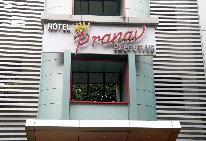 Fotos del hotel Pranav Executive:  13
