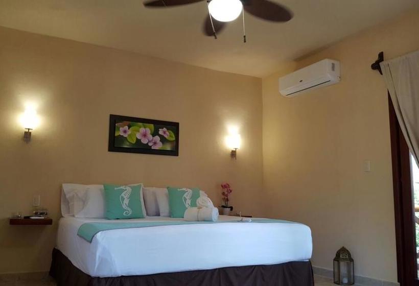 Fotos del hotel Moon Dreams Yum Balam:  21