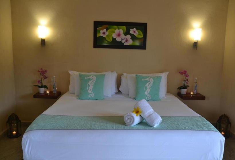 Fotos del hotel Moon Dreams Yum Balam:  17