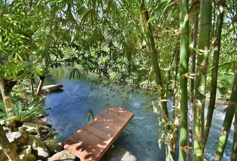 Fotos del hotel The Nine Thipthara Klongson Resort:  14