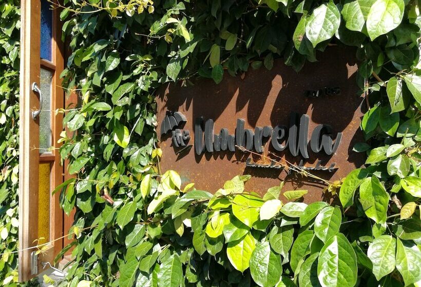 Fotos del hotel The Umbrella House:  17