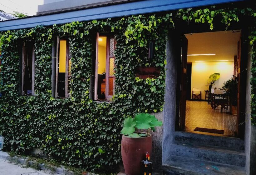 Fotos del hotel The Umbrella House:  11