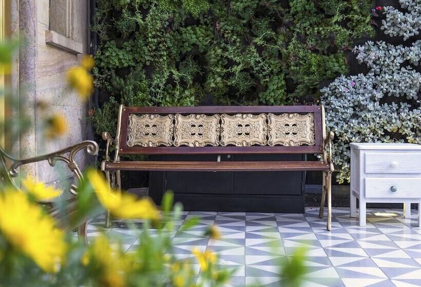 Fotos del hotel Avenida Jimenez:  5