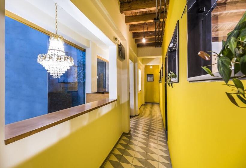 Fotos del hotel Avenida Jimenez:  3