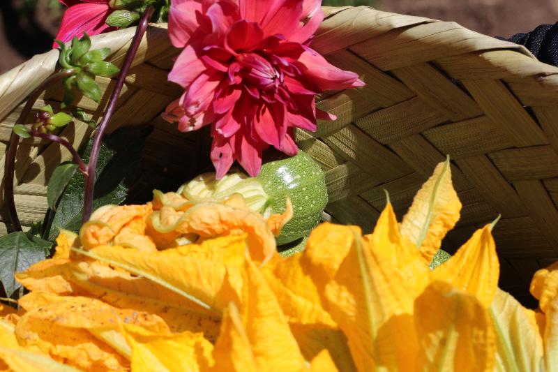 Fotos del hotel Cartesiano Urban Wellness Center:  10