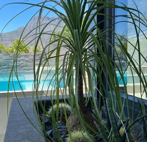 Fotos del hotel Bayview Boutique Guesthouse:  19