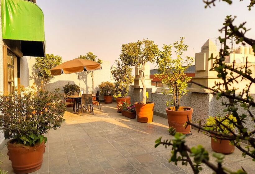 Fotos del hotel Catedral:  5