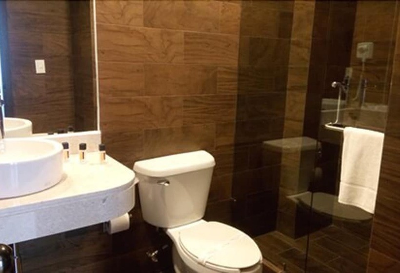 Fotos del hotel Catedral:  6