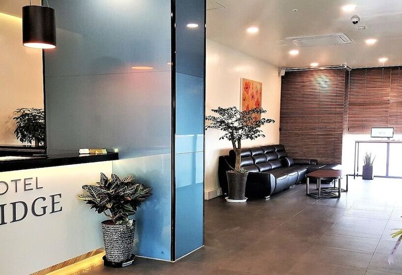 Fotos del hotel Bridge:  18