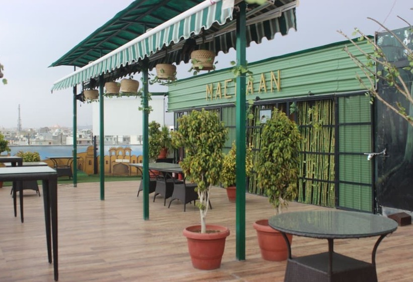 Fotos del hotel Safari:  3