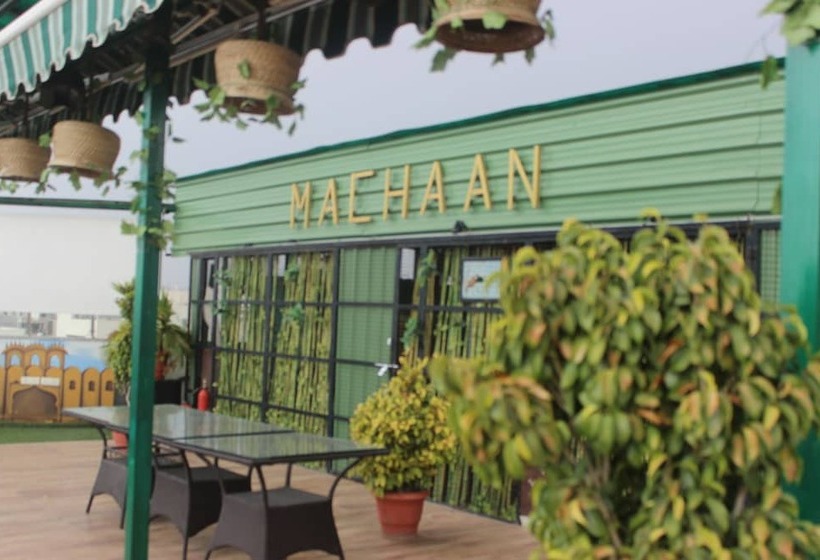 Fotos del hotel Safari:  9