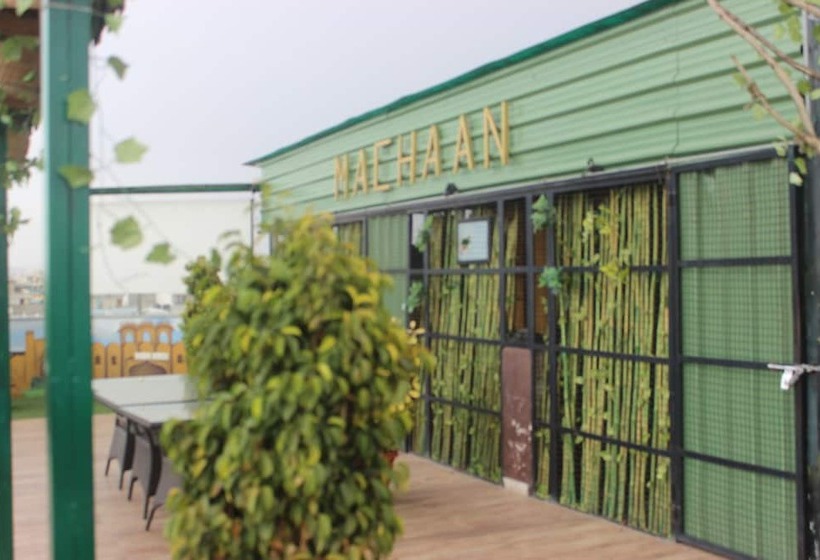 Fotos del hotel Safari:  11