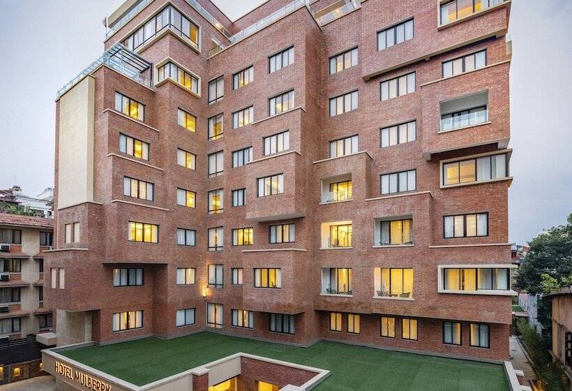 Fotos del hotel Mulberry:  10