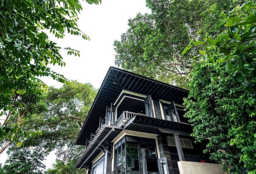 Fotos del hotel Nam Nghi Phu Quoc:  6