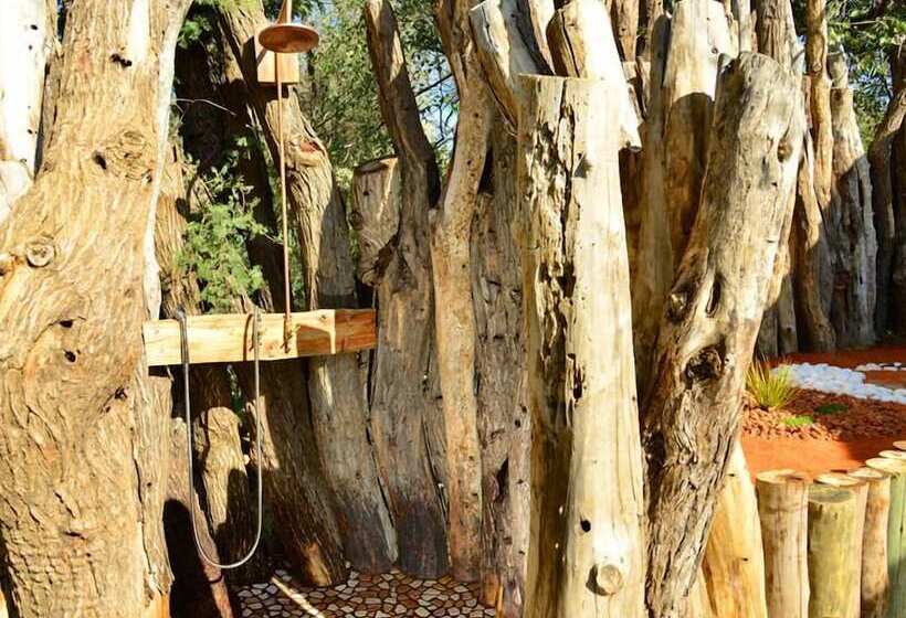 Fotos del hotel Onjala Lodge:  7