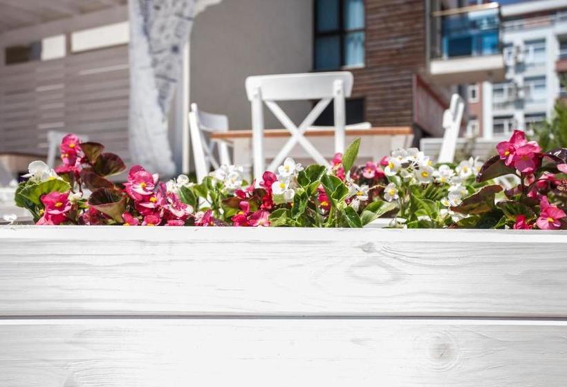 Fotos del hotel Sun Gate Apart:  4