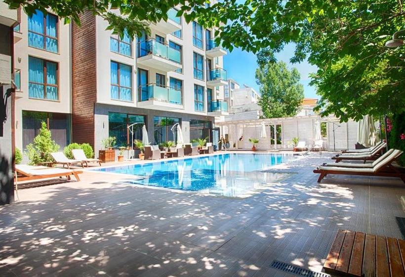 Fotos del hotel Sun Gate Apart:  7