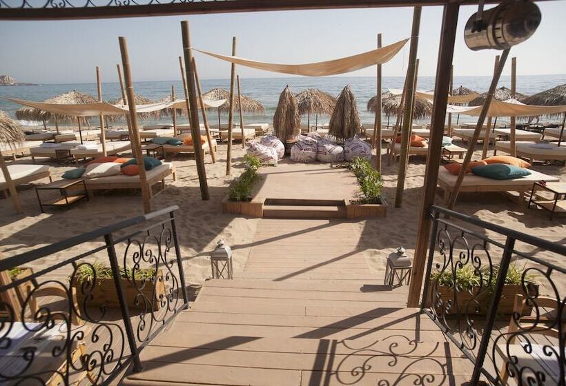 Fotos del hotel Cristiani:  4