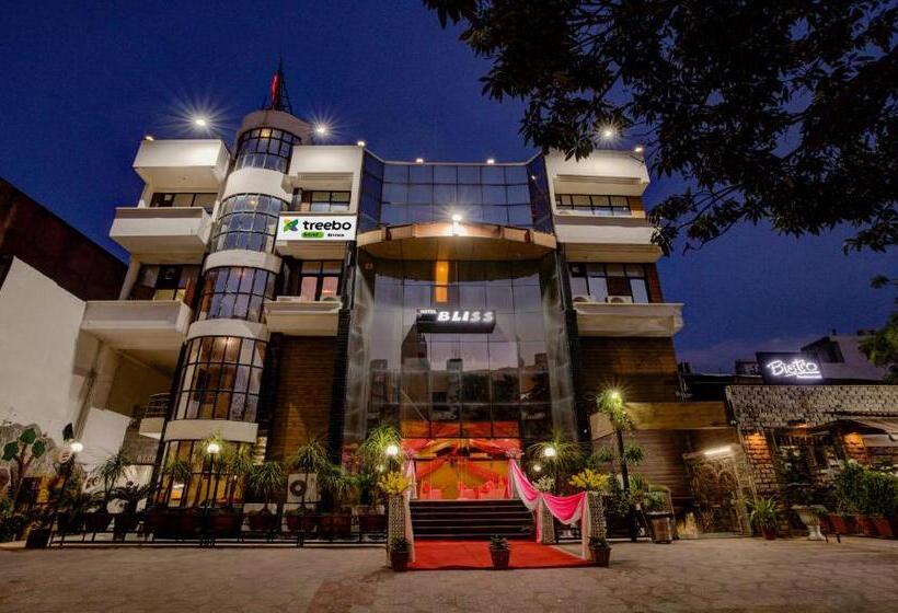 Fotos del hotel Treebo Trend Bliss Raja Park:  12