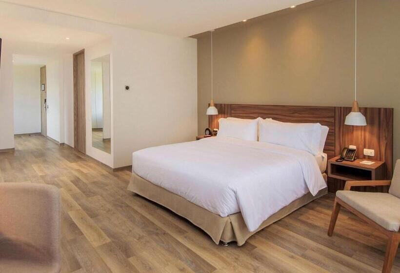 Fotos del hotel Novotel Medellin El Tesoro:  8