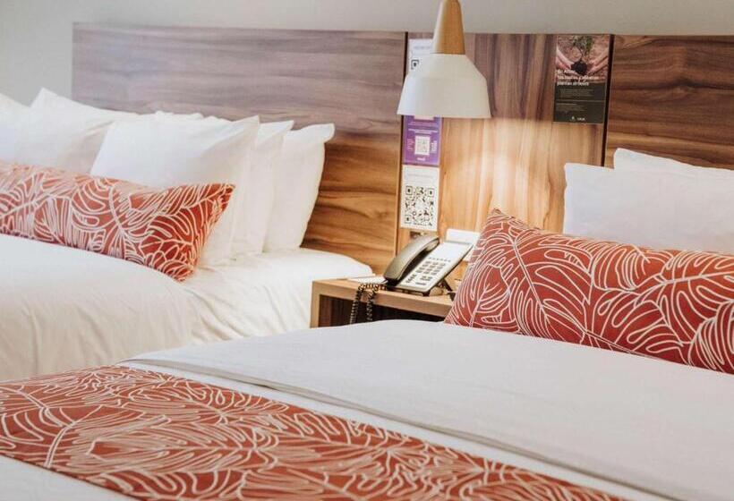 Fotos del hotel Novotel Medellin El Tesoro:  16