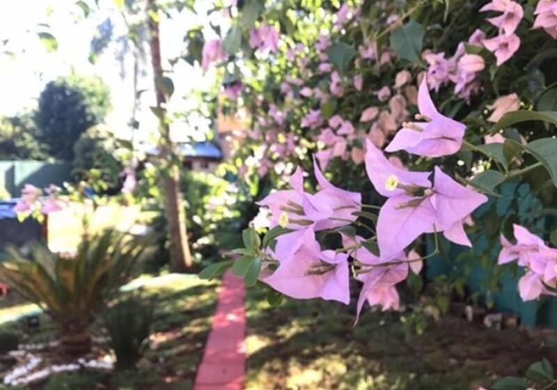 Fotos del hotel Amayal:  14