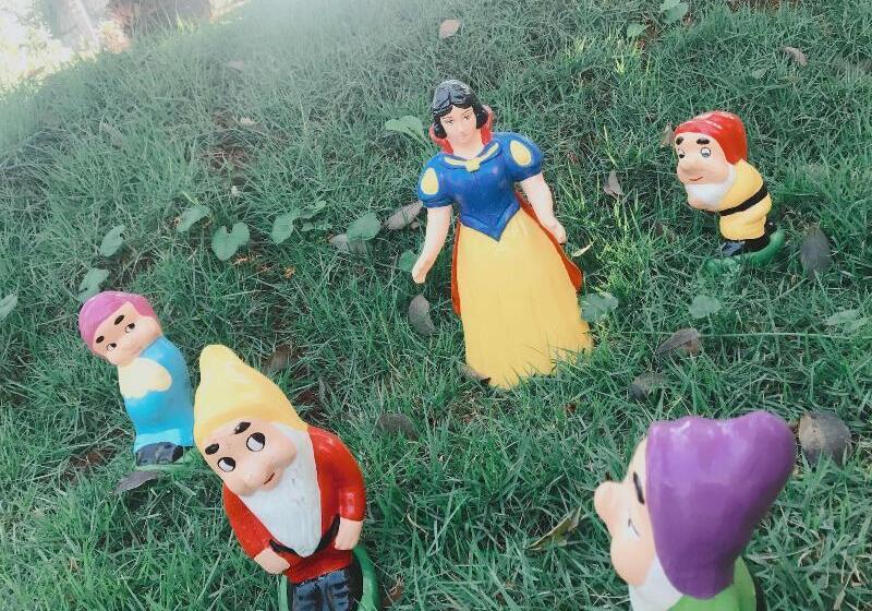 Fotos del hotel Amayal:  5