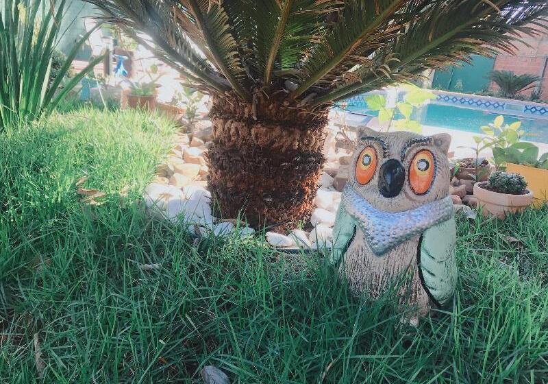 Fotos del hotel Amayal:  11