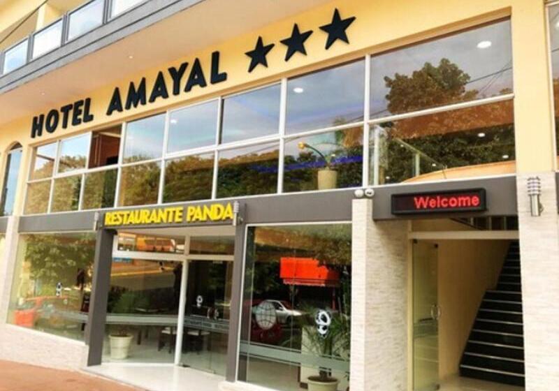 Fotos del hotel Amayal:  15