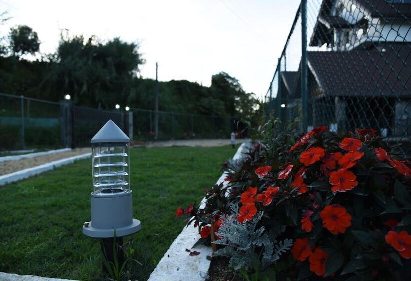 Fotos del hotel Top Venice:  22