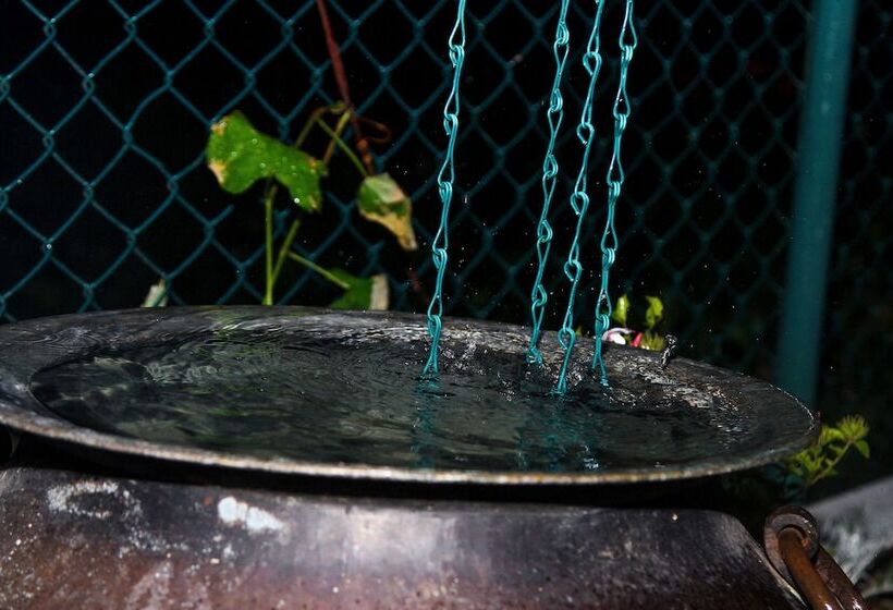 Fotos del hotel Top Venice:  7