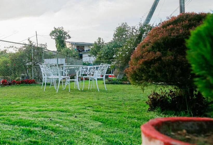 Fotos del hotel Top Venice:  25