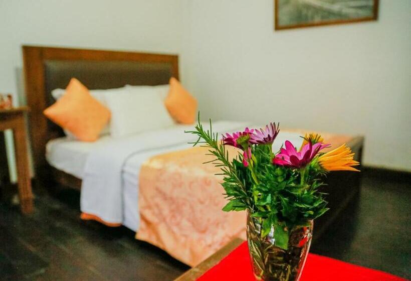 Fotos del hotel Top Venice:  24