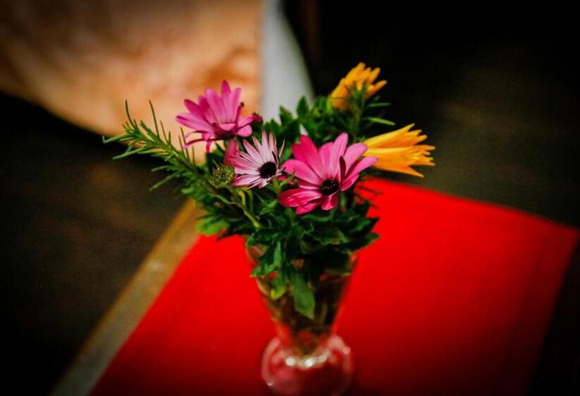 Fotos del hotel Top Venice:  11